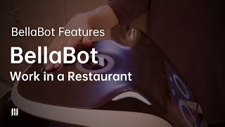 BellaBot Features-- How delivery robot BellaBot Work in a Restaurant