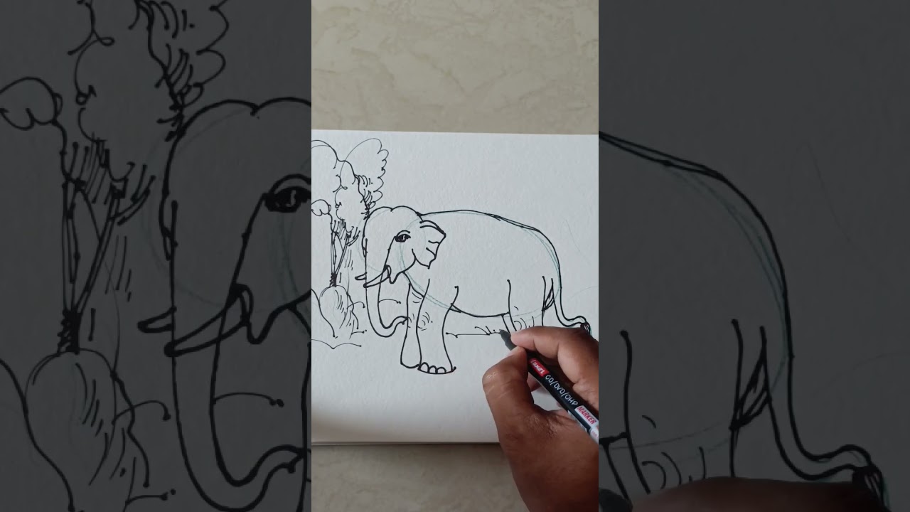 Elephant composition.        