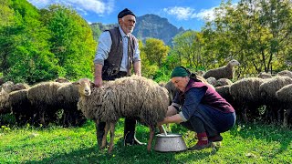How Do Shepherds  Nowadays Making Sheep Milk Cheese And Cooking A Delightful Dinner
