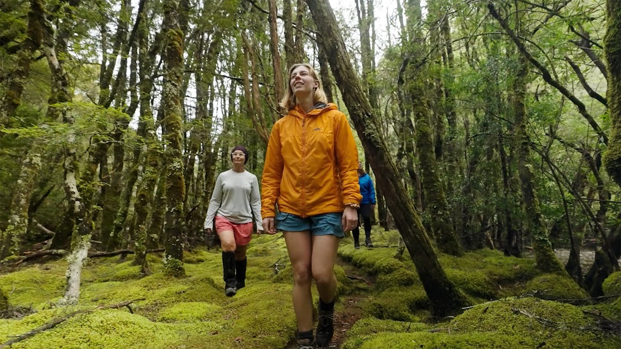 Spend 60 Seconds On Cradle Mountain Signature Walk, Tasmania - Great Walks Of Australia