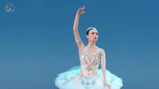 Nilay Tahiroglu (Turkey) - Third Shade Variation | XV Moscow Ballet Competition, Senior Round 2