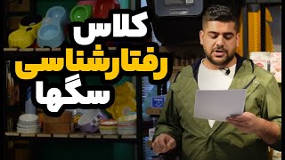 کلاس گروهی رفتارشناسی سگ ها - بهمن ماه 1401