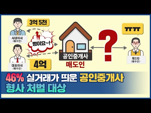 [<strong>위클리브리핑</strong>] 46% 실거래가 띄운 공인중개사, 형사 처벌 대상