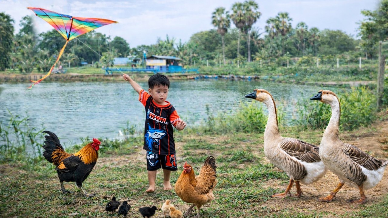 New Animals at Our Farm 🌿 A Weekend in Our Countryside Dream