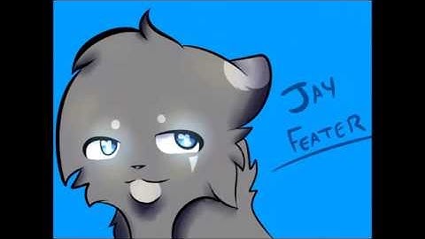 Jayfeather AMV story board