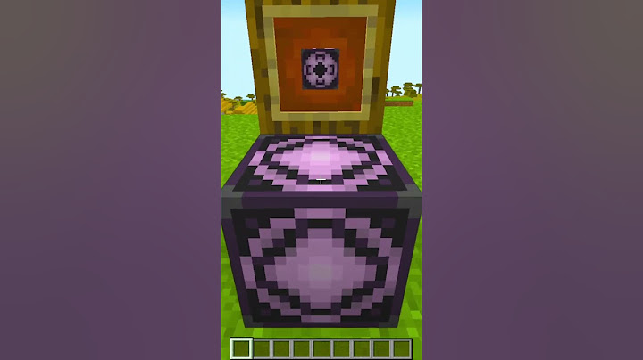 5 BLOCCHI SEGRETI DI MINECRAFT