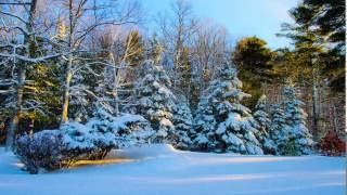 Snow Falling Animation