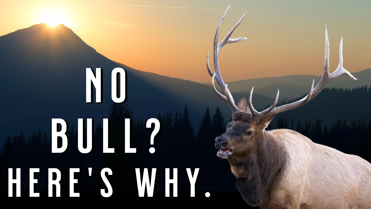 Thermals Demand This Approach | Elk Hunting Reality