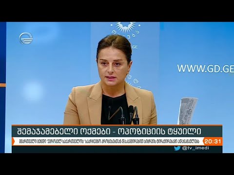 შემაჯამებელი ოქმები - ოპოზიციის ტყუილი