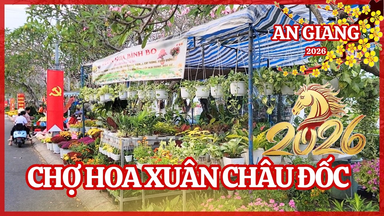 Tết 2026 Ở Châu Đốc | Chợ Hoa Xuân Nhộn Nhịp 🌼