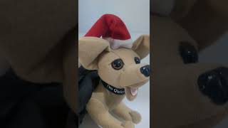 Taco Bell Dog