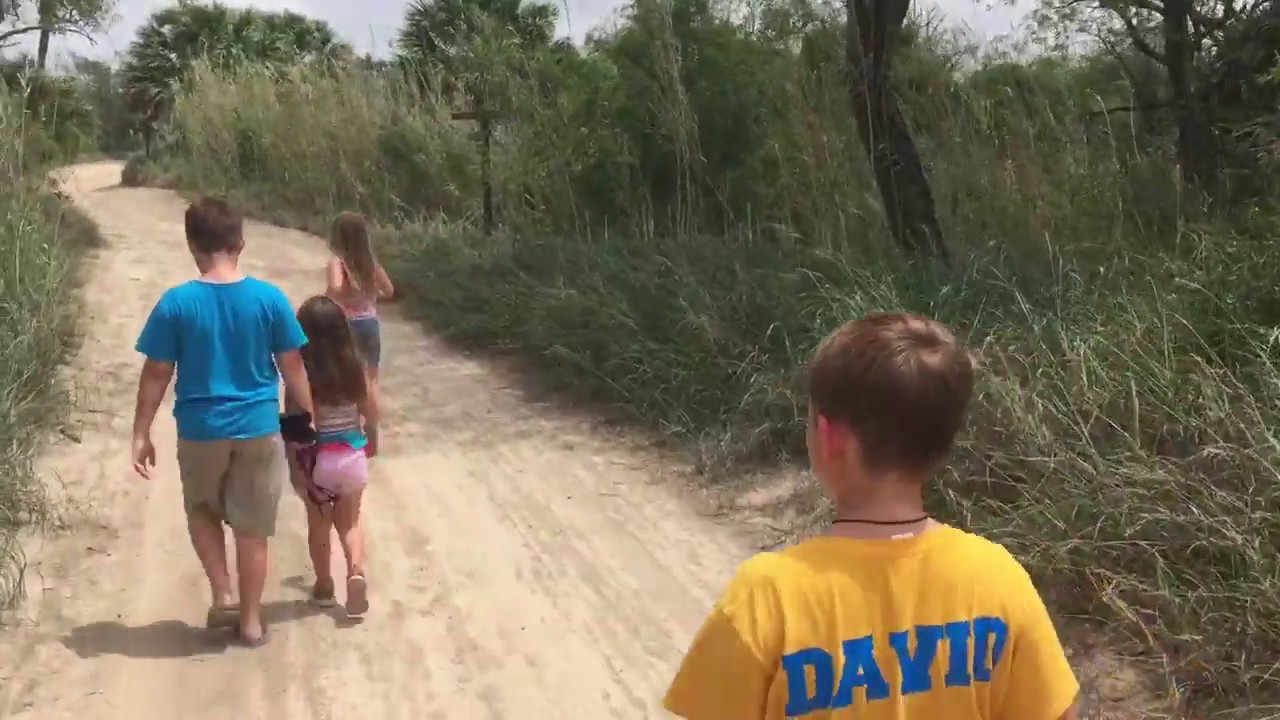 Sabal Palm Sanctuary - Rio Grande River Overlook