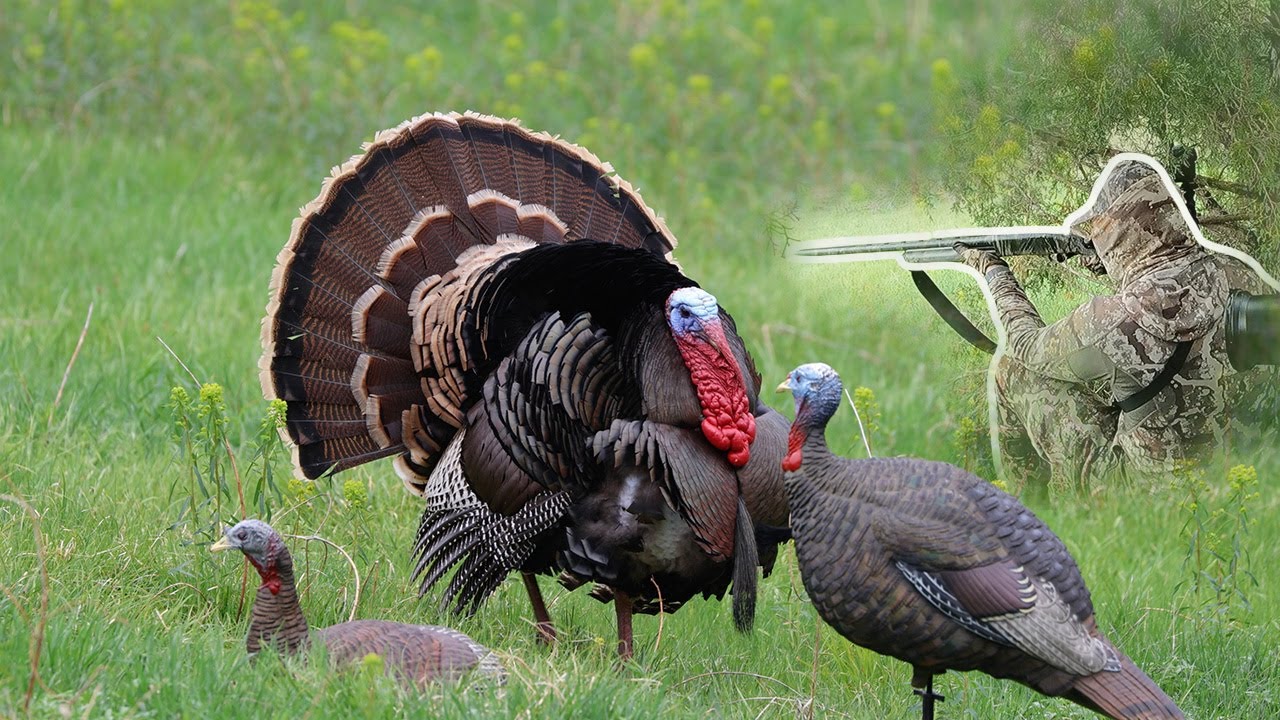 AMAZING NEBRASKA HUNT! YouTube