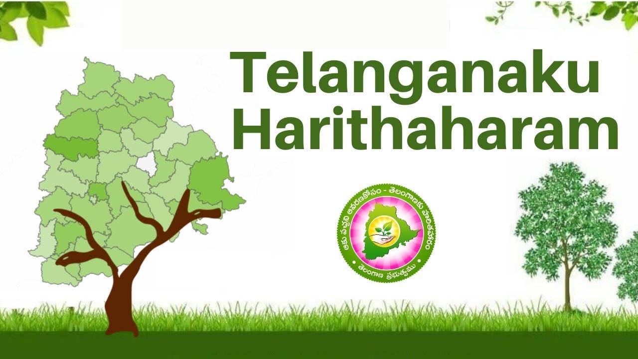 Harithaharam Telangana : Target to Plant 3 Crore Plants| Percentage Achieved Dashboard | DataFilters