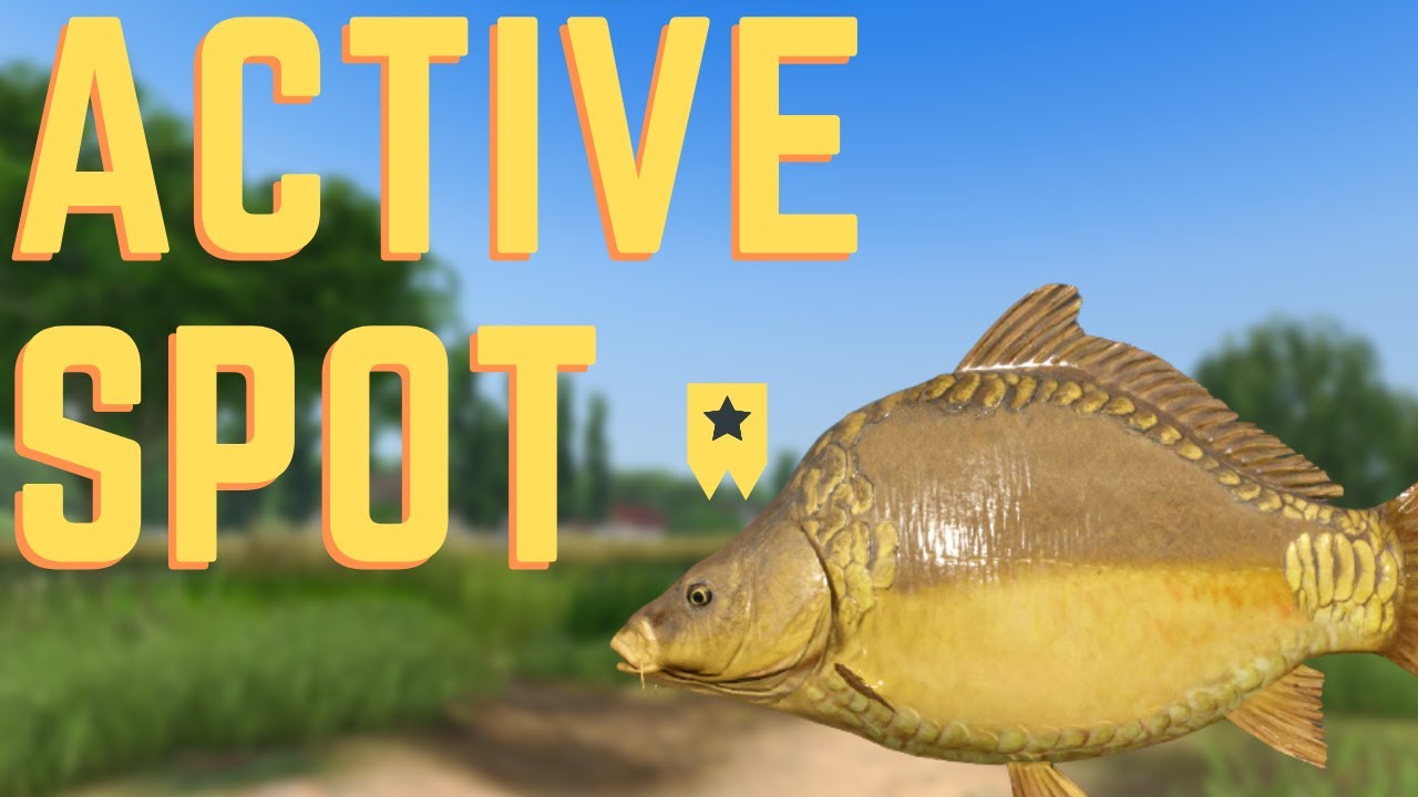 Trophy Frame Sided Carp | $700+ Amazing Amber | June 4, 2022