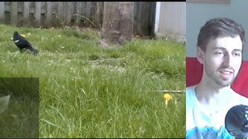 Programming Daily GLSL Shader Art(May 2 2020 Live Stream)