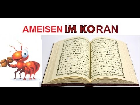 Ameisen Im Koran Youtube