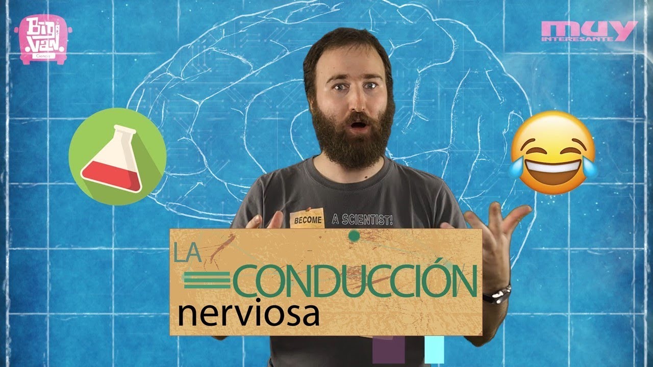 La conducción nerviosa | Neuropíldoras 6 - YouTube