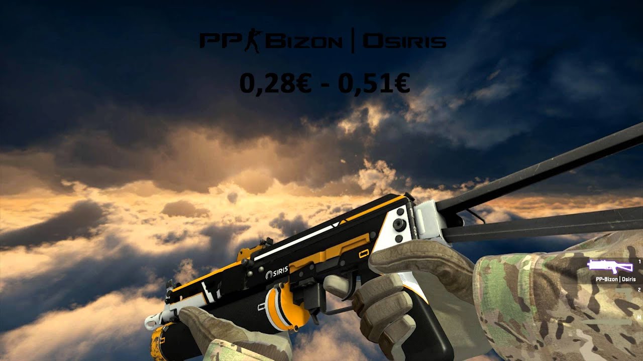 best pp bizon skins