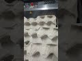 Egg Packing Process Using MOBA Machine | Automatic Egg Tray Filling System