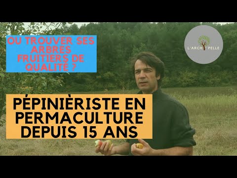 Vidéo: L'arbre De La Peur. La Peur Comme Moteur De Développement