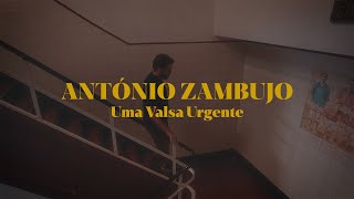 Video thumbnail of "António Zambujo - Uma Valsa Urgente"