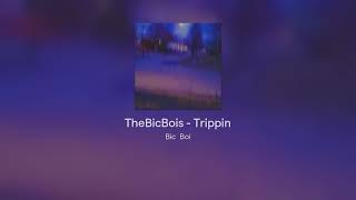 TheBicBois - Trippin