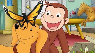 George O Curioso 🐵A Aventura de George na ia🐵 Compilação 🐵 Desenhos  Animados 