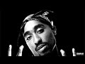 Tupac  thug style remix ft dj vicky spin