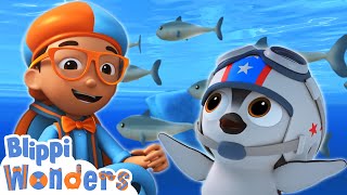 Blippi's Underwater Winter Adventure With Penguins! | Blippi Wonders Educational Videos For Kids