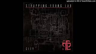 Strapping Young Lad - Room 429