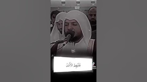 أجمل حالات واتساب قرآن كريم بصوت هيثم الدخين #قناة_نخوة_للفوائد