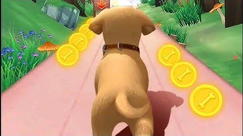 Dog Run : My Talking Pet Runner - Dog Run Game - Pet Dog Run Android Gameplay