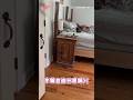 【一直追不到兇手】小奶貓狂追牽繩　完全不知道是在追自己XD #Shorts