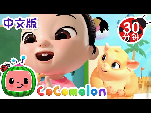 班级宠物歌 | 大合集 | 經典熱門兒歌 | Kids Song | 動畫 | 童謠 | 儿童学习 | 卡通片 | CoComelon 中文 | Nursery Rhymes class=