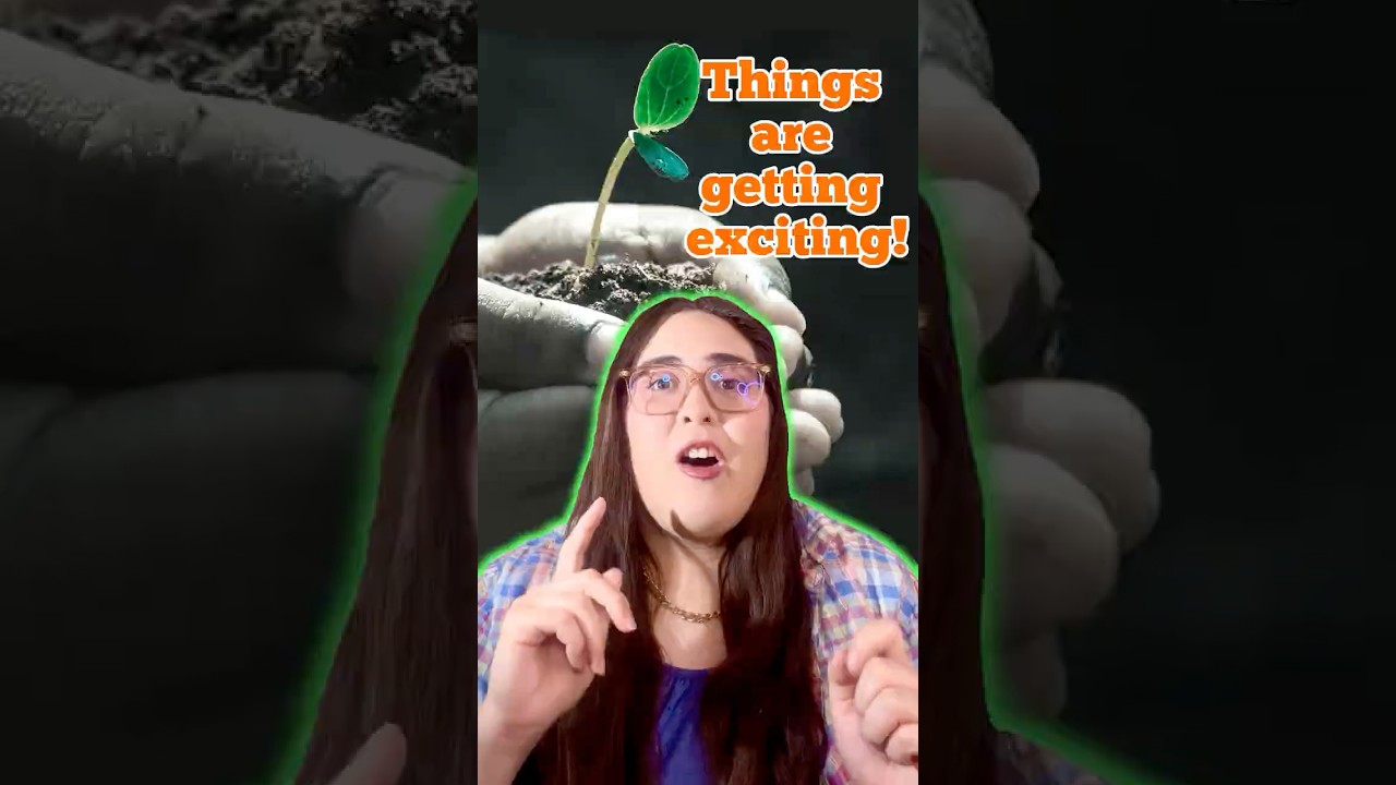 Prophetic Word: New Things!