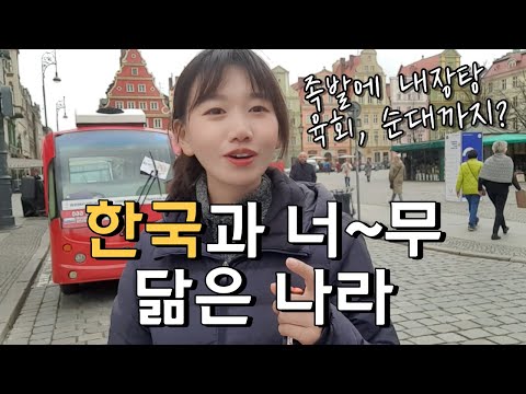   매순간 느껴지는 한국의 향기 한국과 너무 닮아 신기한 나라 폴란드 브로츠와프에 한국인들이 많은 이유 파이어족의 세계여행 91 폴란드 1