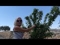 456 ac install  growing food in a semi desert climate