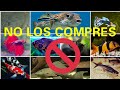 LOS 10 PECES QUE NUNCA DEBES COMPRAR, ES UN PROBLEMA TENERLOS