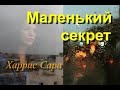 &quot;Маленький секрет&quot;. Аудиокнига. Часть 1/2. Харрис Сара.