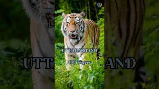 Top 5 Most Tiger Populations States In India 2024