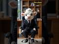 "cow boss ki punch eichina kiddy cat #ai #3danimation #catvideos #shorts