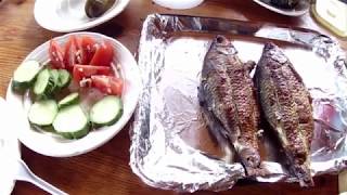 36 Копчение Красноперки На Фруктовых Палочках//Russia Volga Smoking Fish