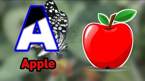 Ho Ho Ho! ABC Christmas Songs | Learn Alphabet & Phonics | 15-Minute Learning with BabySharktraining