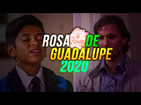 La Rosa De Guadalupe...