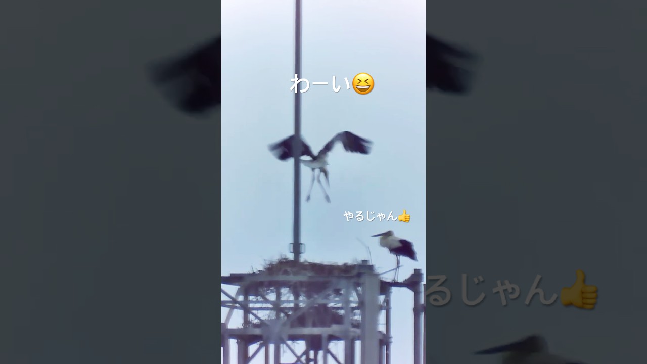かなり飛んでる感じ!