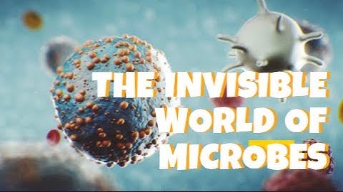 Unlocking the Mysteries of Microbes: Nature