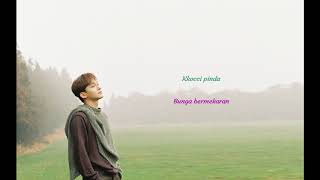 Chen - Flower (Lirik dan terjemahan Indo)