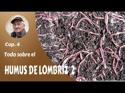 Vídeo: De què està fet l'humus - Coneix la diferència entre el compost i l'humus
