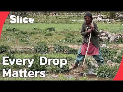 The Water Journey: How Villagers Irrigate Fields in The Himalayas | SLICE | FULL DOCUMENTARY